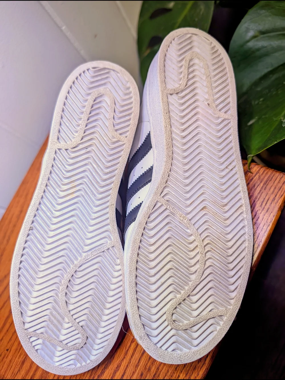 Adidas Superstar White & Black Leather Sneakers